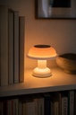 SOWDEN Portable table Lamp PL4 (2).webp