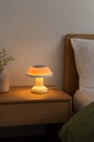 SOWDEN Portable table Lamp PL4 (1).webp