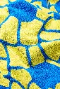 zzz_beach_towels_blankets_beach2_3.webp