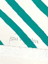 sowden - fotokino pierre_charpin_serigraphie_green 2.webp