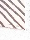 sowden - fotokino pierre_charpin_serigraphie_silver 1.webp