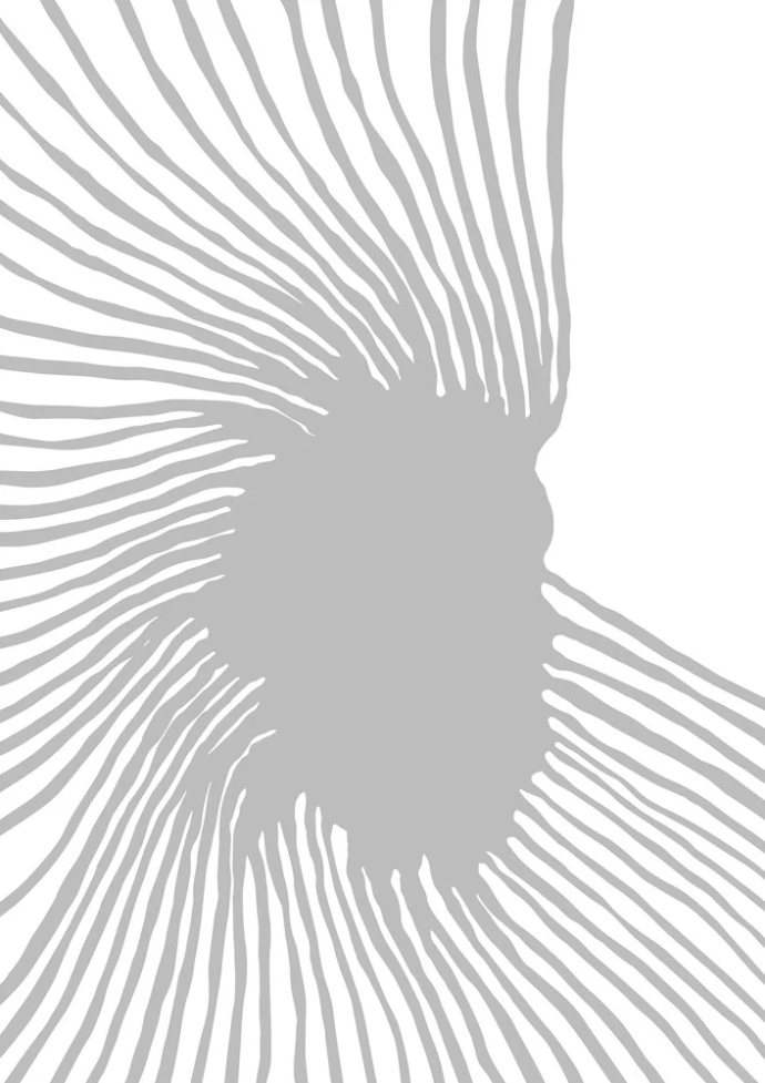 Pierre Charpin for Fotokino - Silk screen print "Spreading"