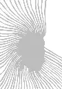 Pierre Charpin for Fotokino - Silk screen print "Spreading"